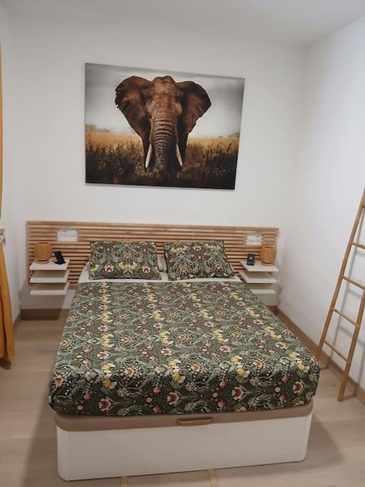 Apartamento Elephant House A 10 Minutos Del Centro